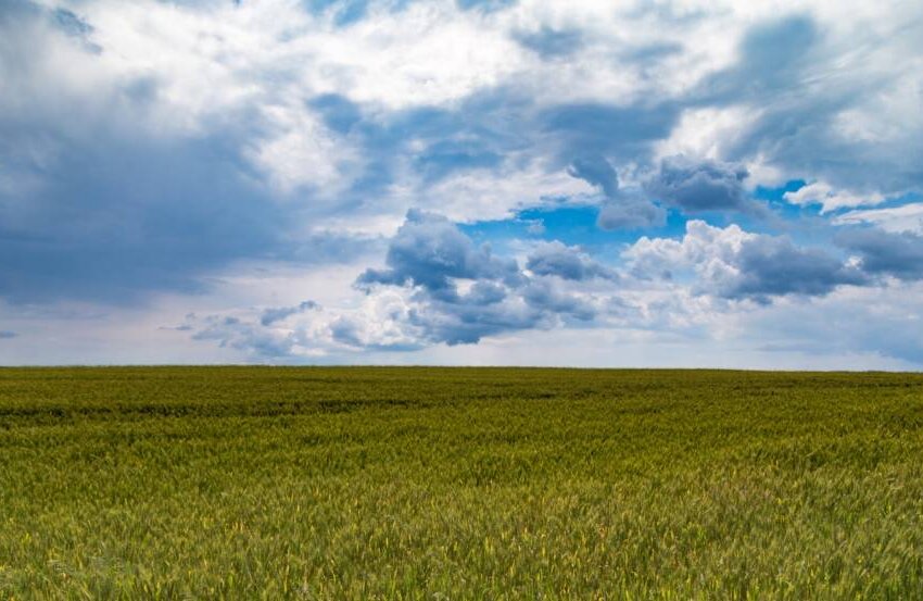 Brazil’s largest agrochemical manufacturer: Nortox celebrates 70 years