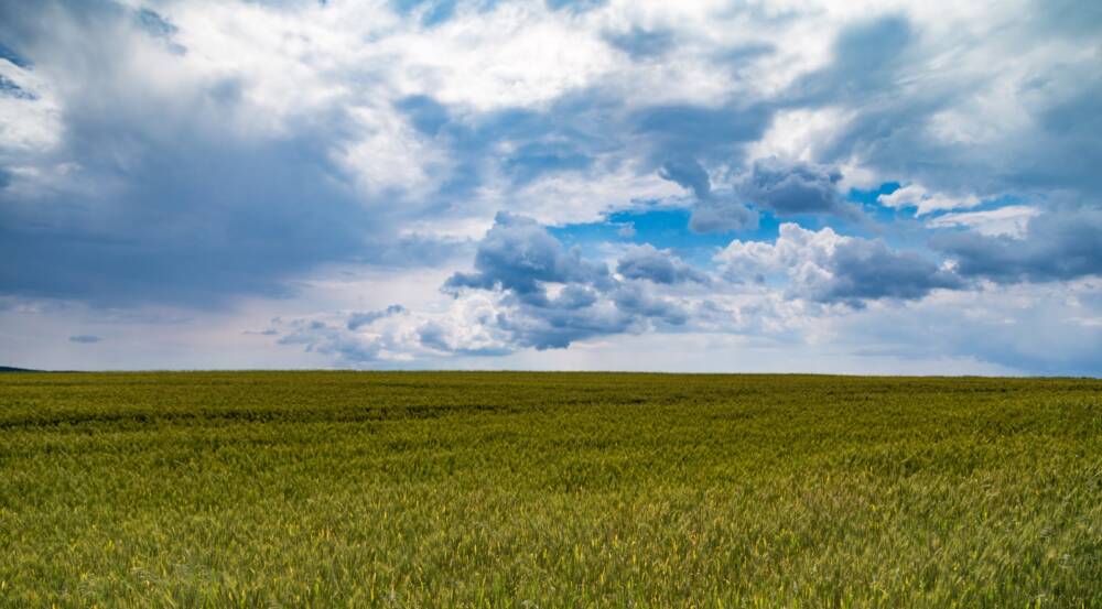 Photo by <a href=