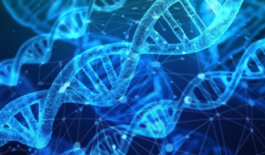 The DNA of Successful Trading