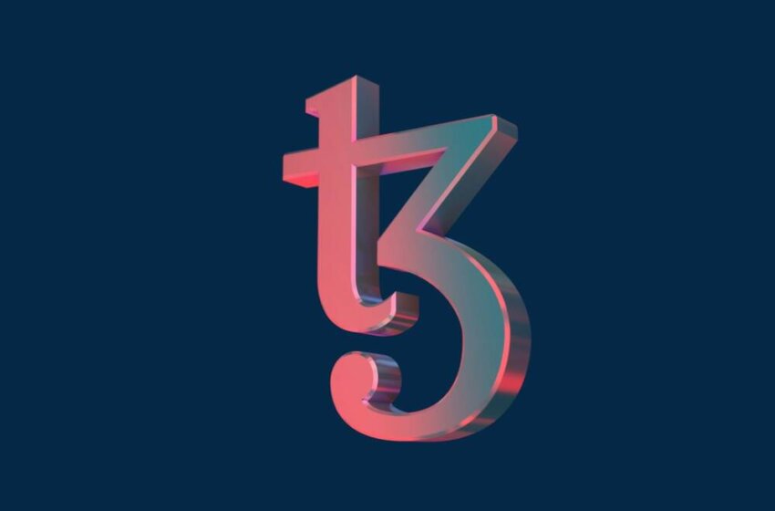 Trading Titans: Understanding Social Media Influencers in Investing